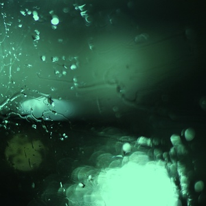 青青草蝌蚪窝91
