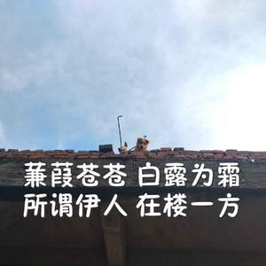 青青草蝌蚪窝91
